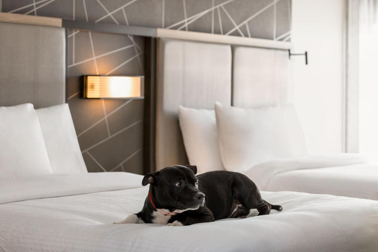 Springhill Suites By Marriott Camp Hill Εξωτερικό φωτογραφία